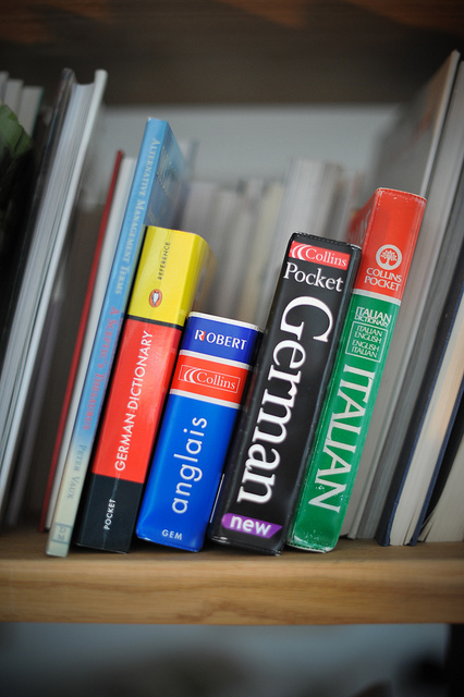Dictionaries by Mickangel