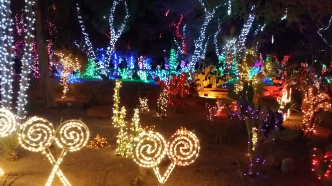 Christmas cactus garden in Vegas