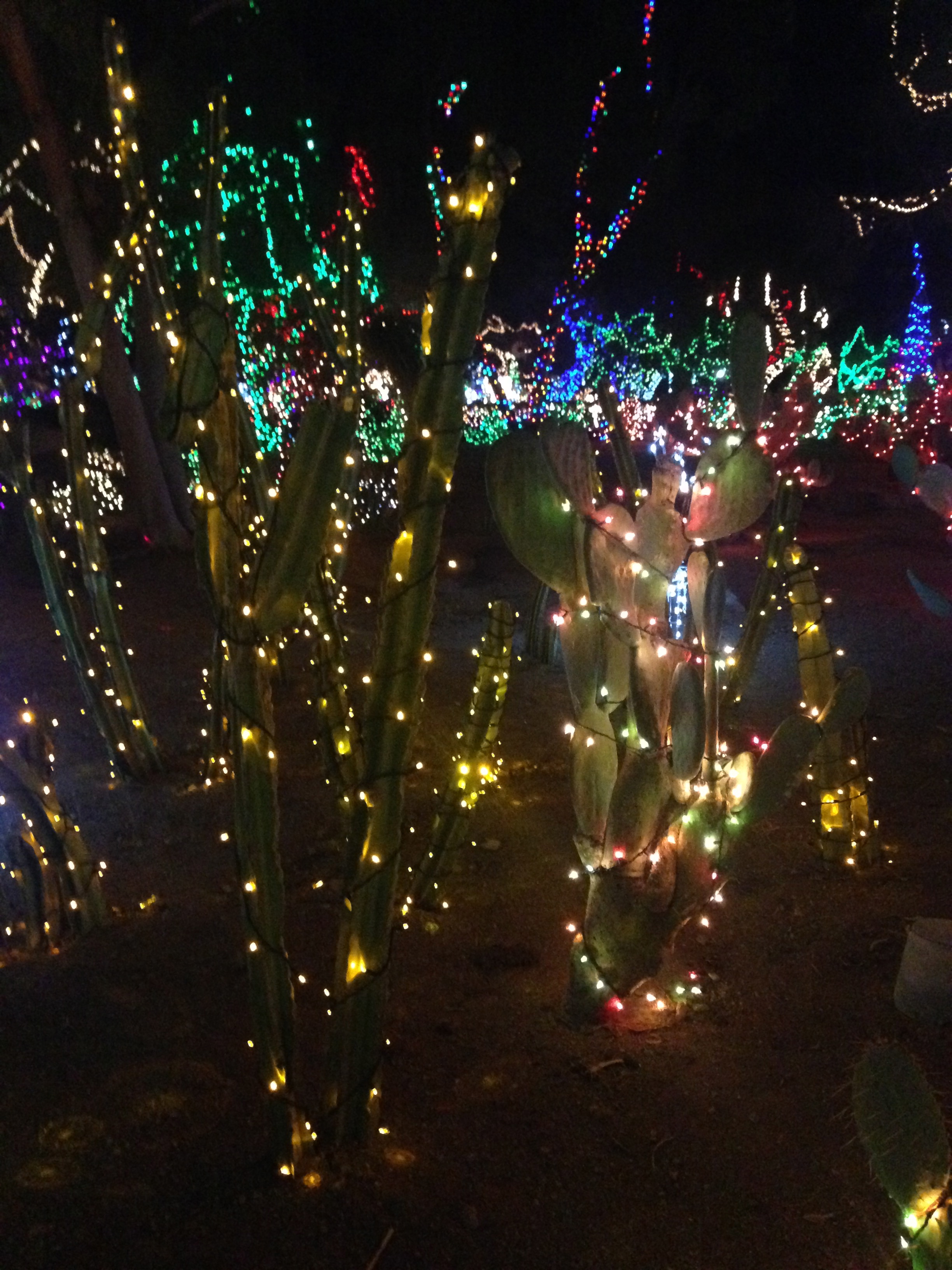 Ethel M Cactus Garden