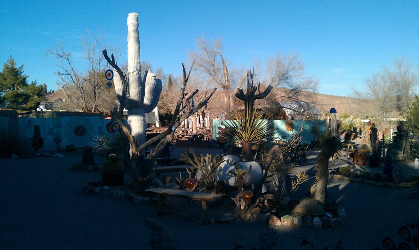 Cactus Joe's Blue Diamond Nursery