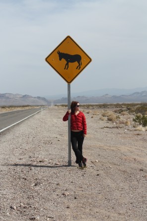 burro sign death valley