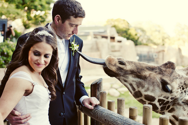 zoo wedding
