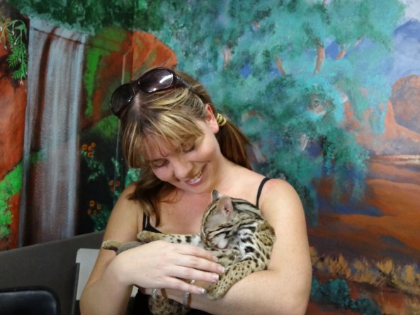 leopard cub