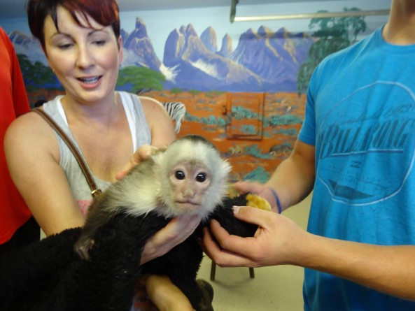 woman holding a monkey at a zoo