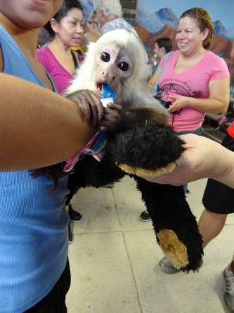 monkey exotic animal sanctuary nevada