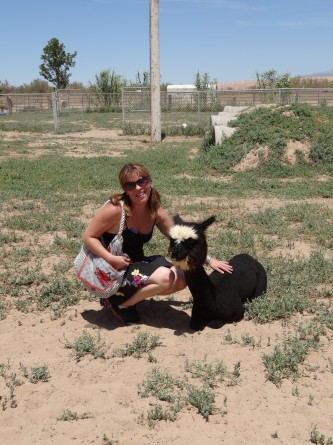 girl petting black and white lama at roos n more zoo in nevada