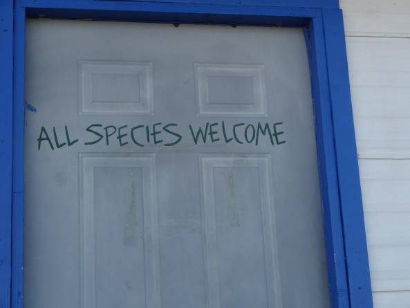 "All species welcome" sign in Area 51