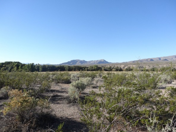 camping spot near Rachel, Nevada