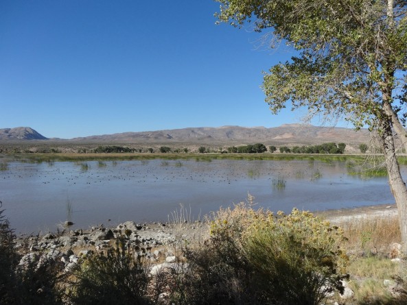 lake and camping near Rachel, Nevada