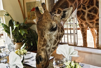 #htmlcaption_5394 The Six Craziest Hotels in the World