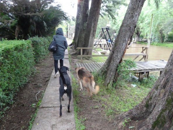 walking down the road in Tres Bocas, Argentina