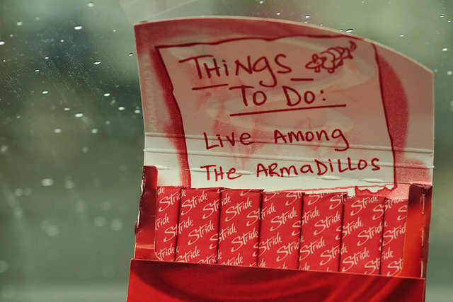 bucketlist things to do: live among the armadillos
