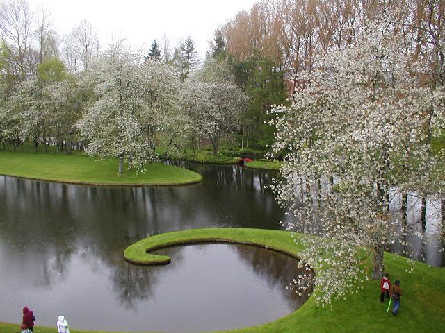 unique pond and trees in garden in Scotland