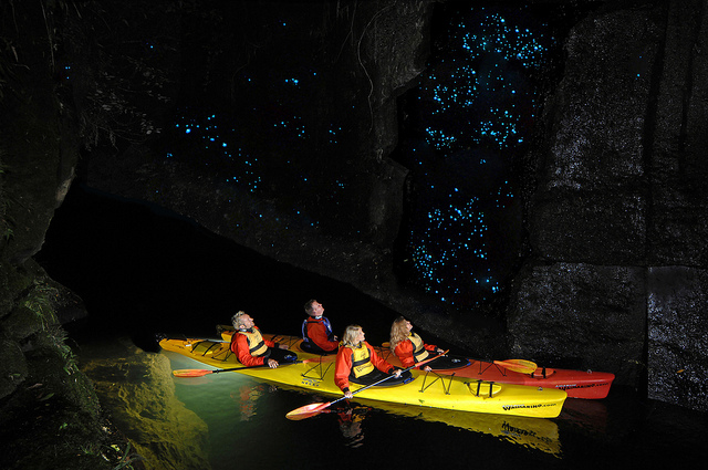 glow worm caves, Lake McLaren, Tarunga, New Zealand