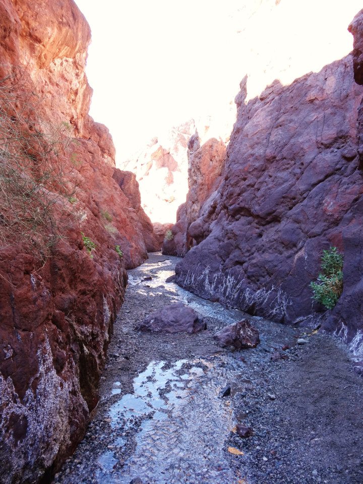 Hiking to Arizona Hot Springs