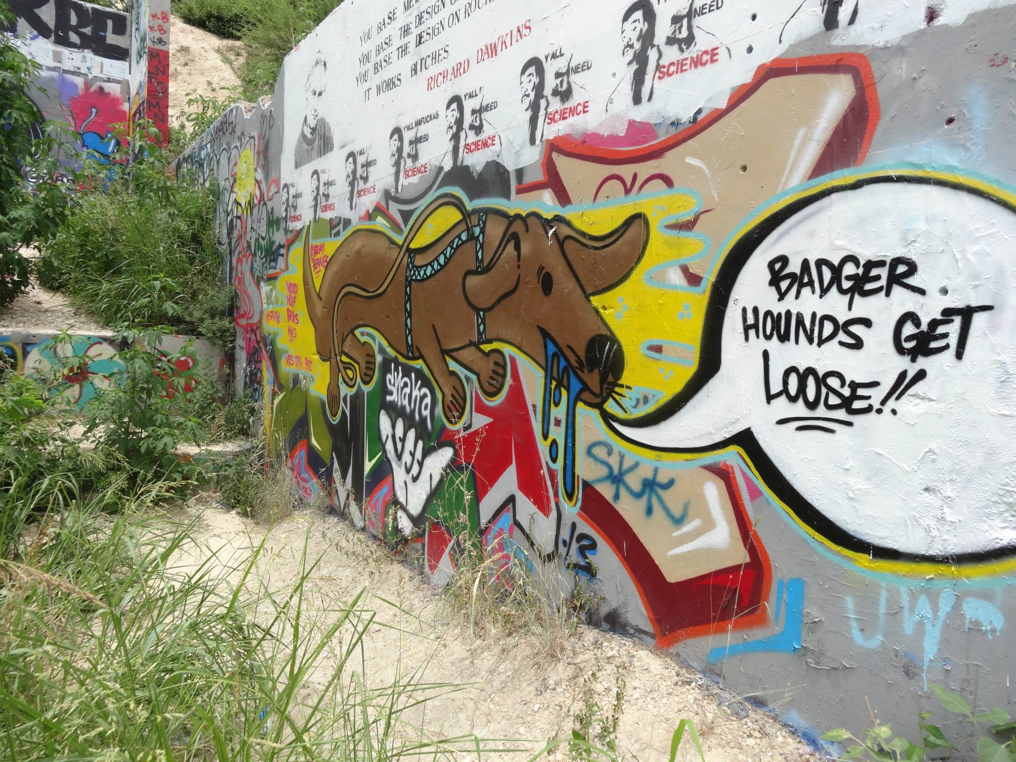 graffiti art in Austin