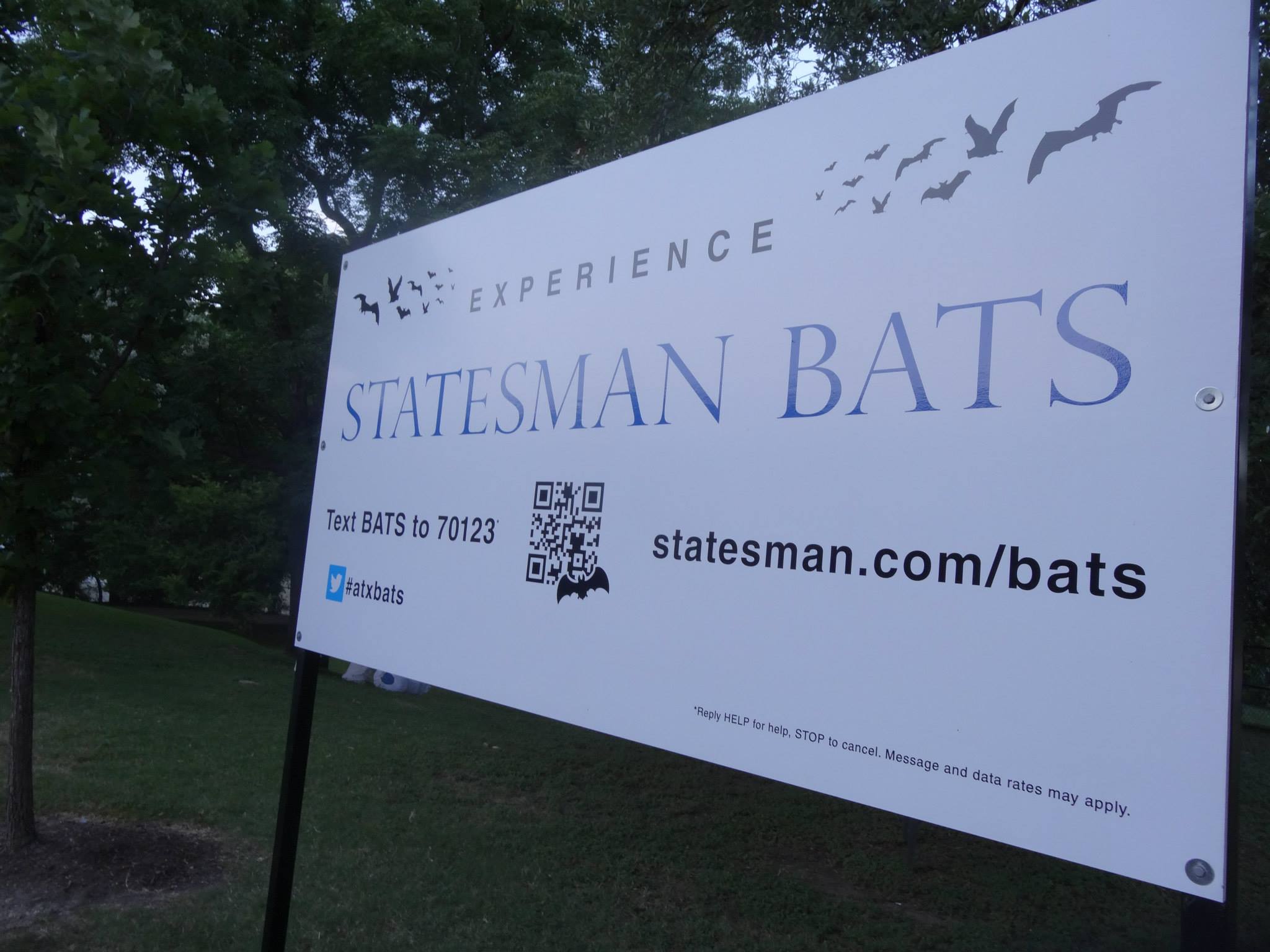 Statesman bat experience sign