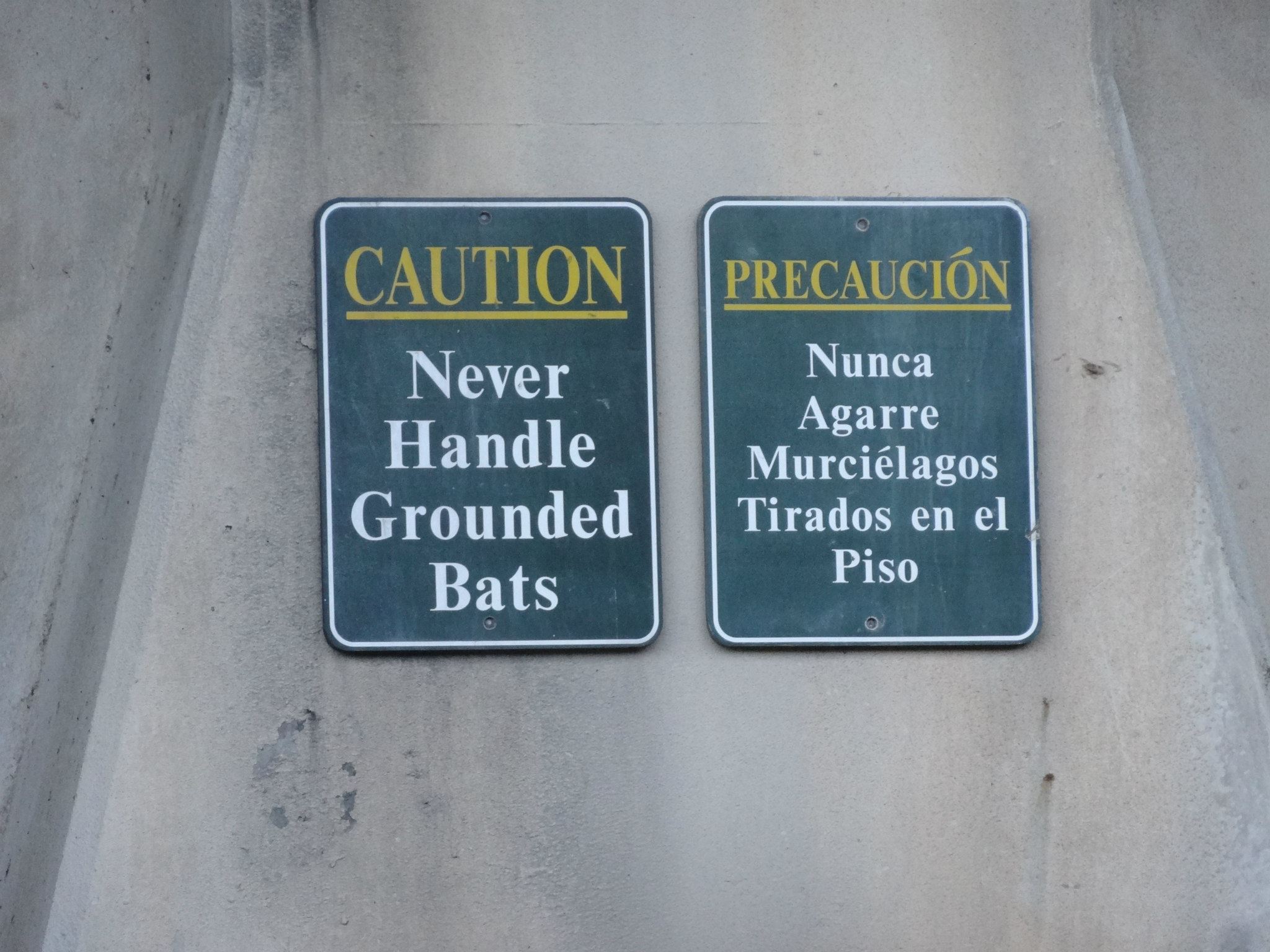 "Never handle grounded bats" sign under South Congress bridge in Austin Texas