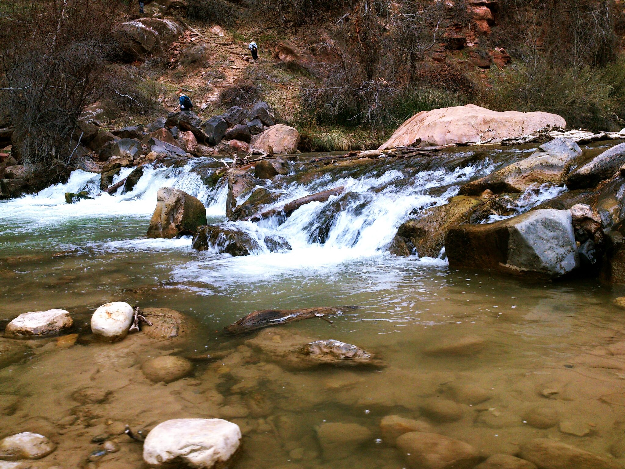 Virgin river at Zion