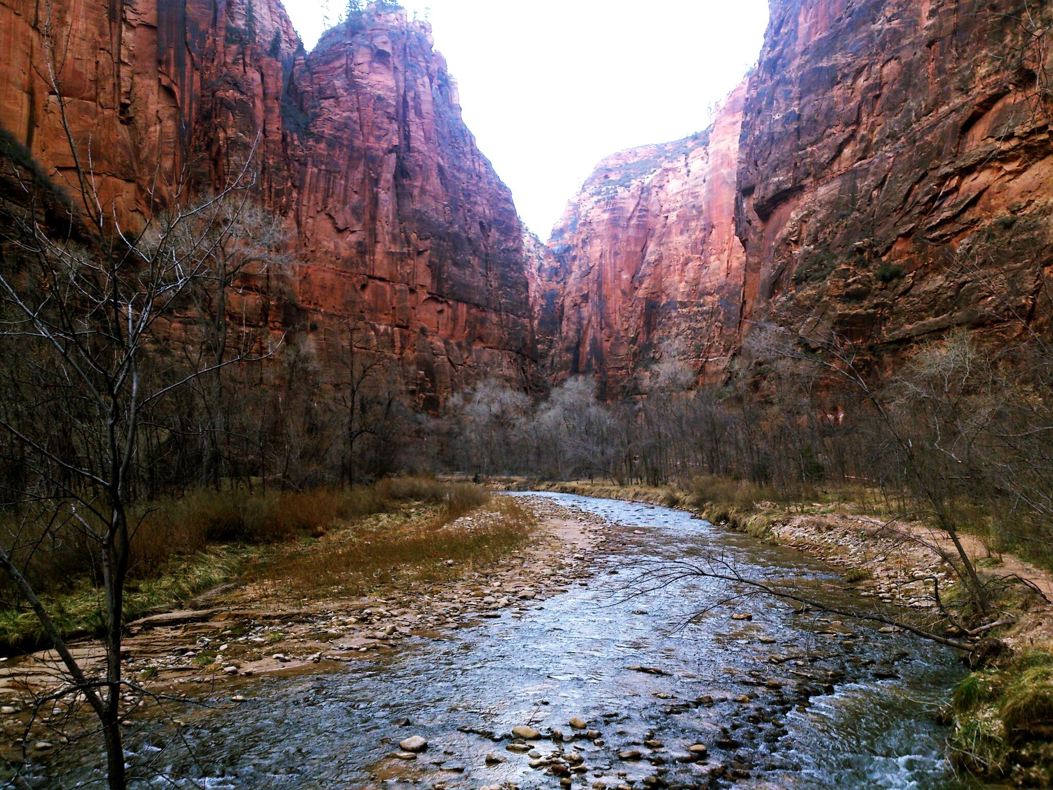 Virgin River and mountains at Zion