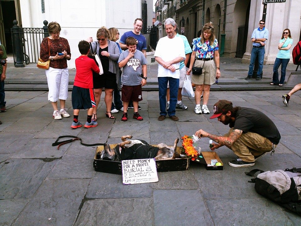 dog playing dead in casket in the French Quarter