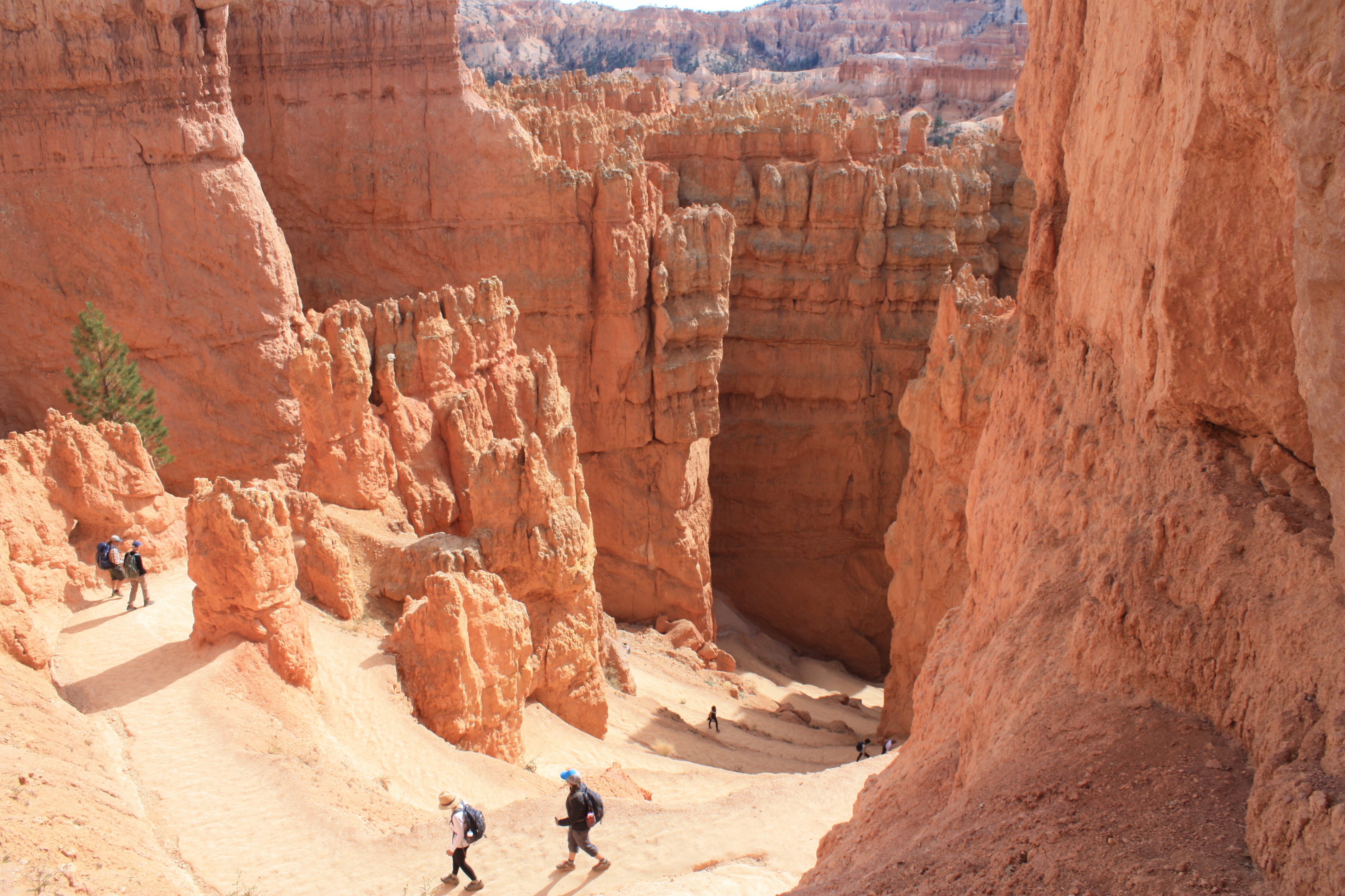 hiking trail bryce canyon