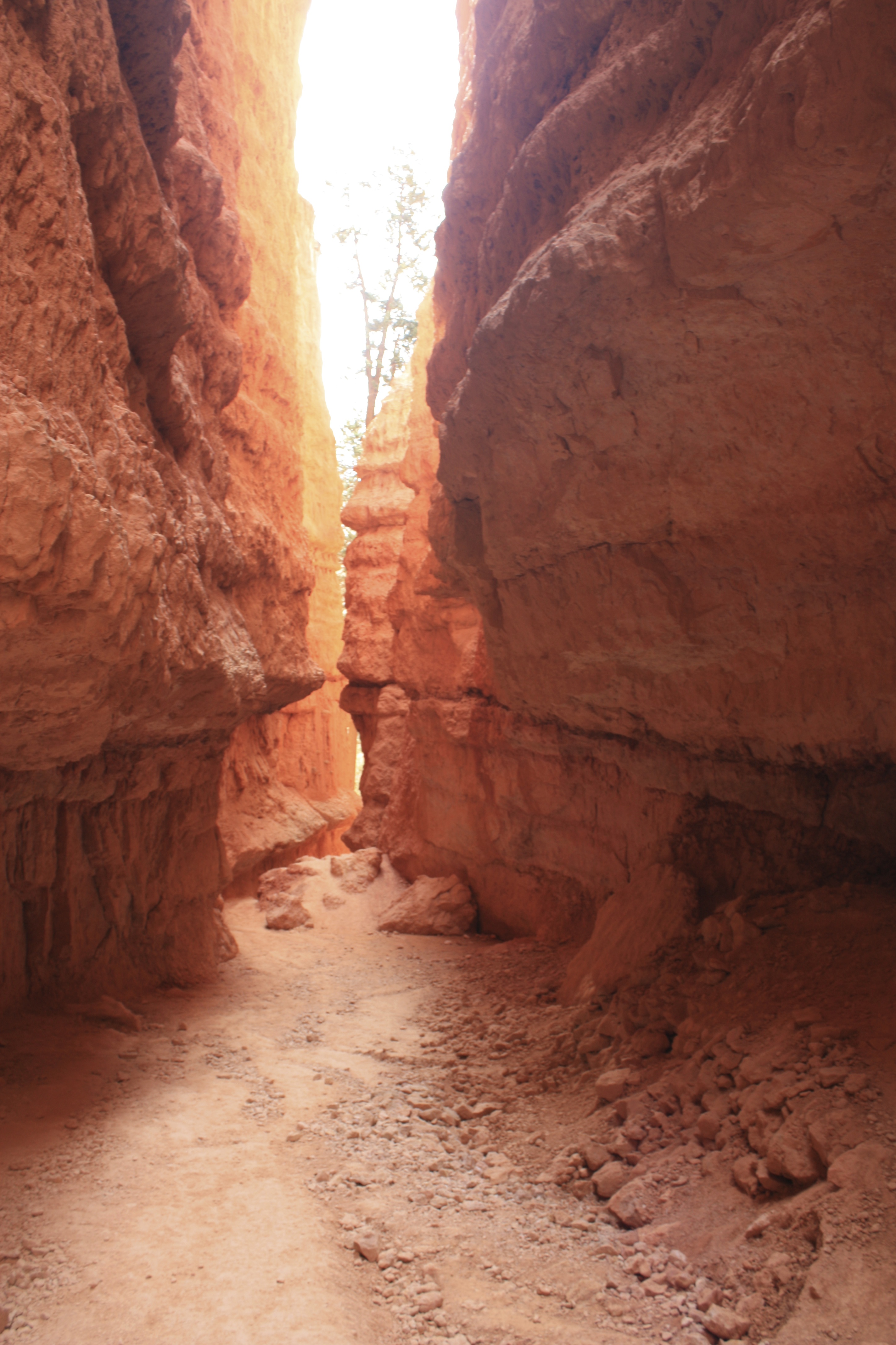 bryce canyon national park