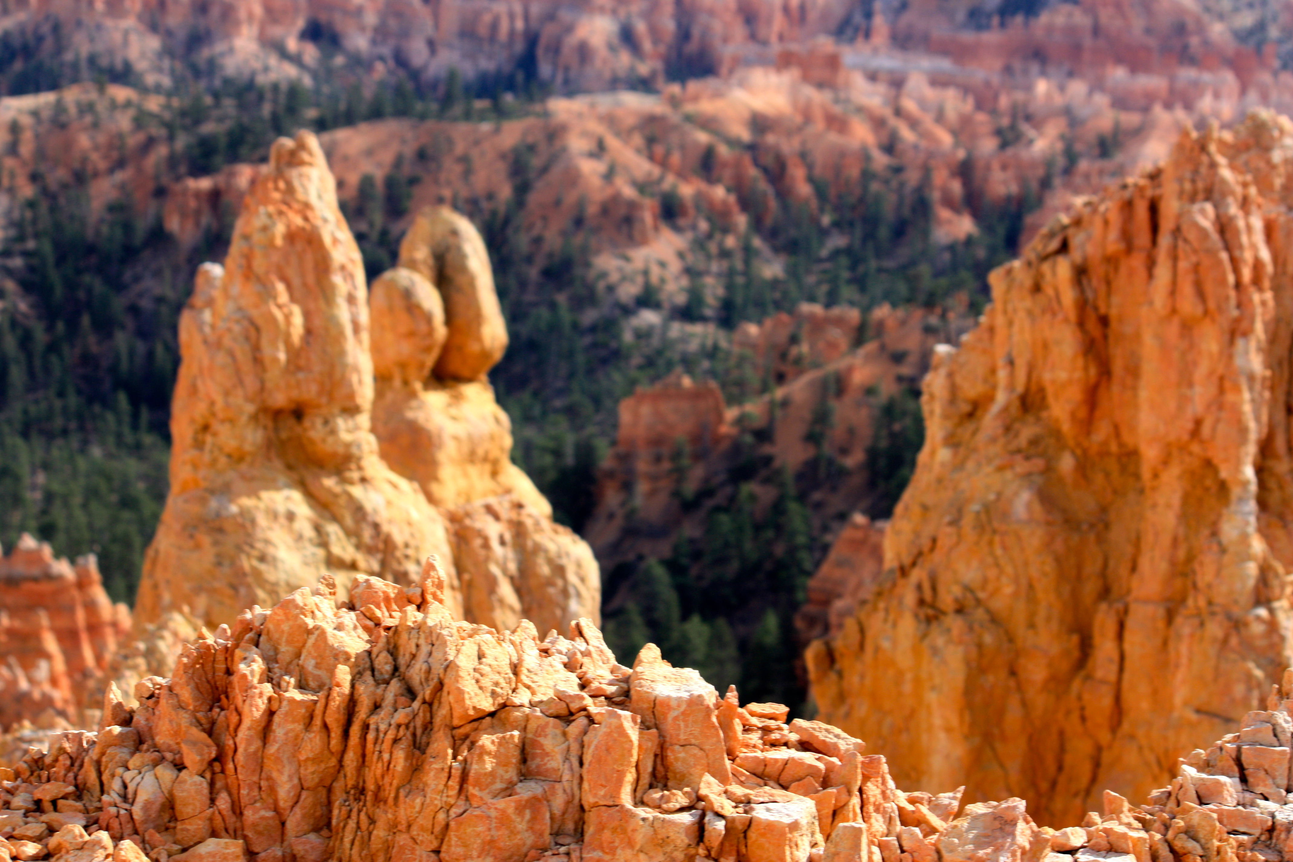 rocks bryce canyon