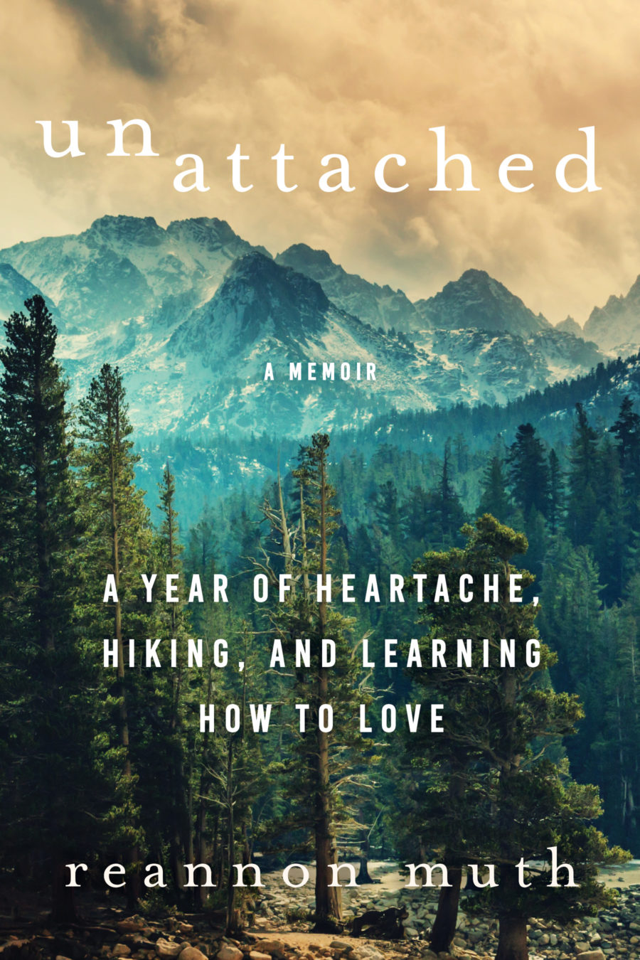 Unattached book cover